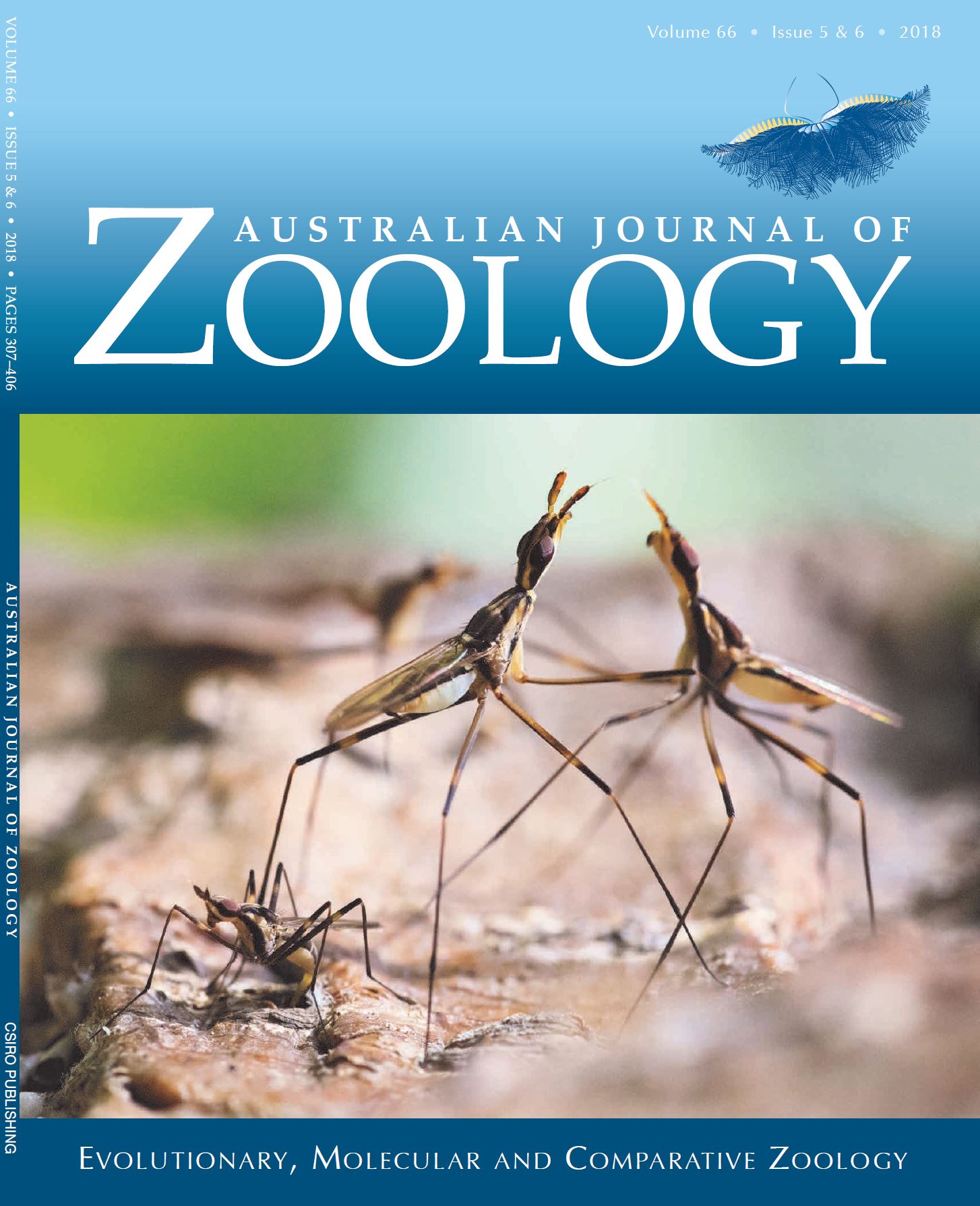 LATITUDINAL VARIATION IN PROTANDRY AND PROTOGYNY IN POLISTINE WASPS:  Monitore Zoologico Italiano - Italian Journal of Zoology: Vol 20, No 1